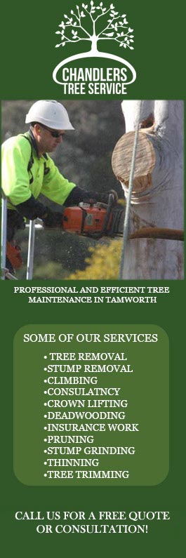 Chandler's Tree Service