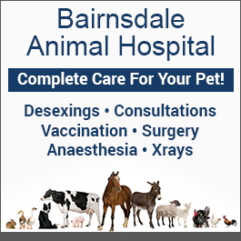 Bairnsdale Animal Hospital