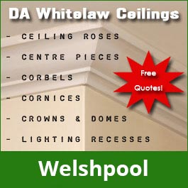 DA Whitelaw Ceilings