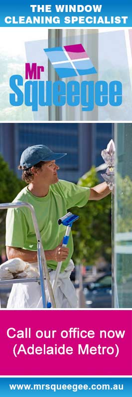 Mr Squeegee