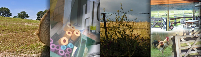 Hesse Rural Health - Community Health Centres, Social Support Groups Hero Image