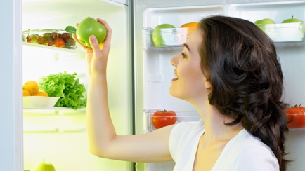 Fridge Repairs Adelaide SA Hero Image