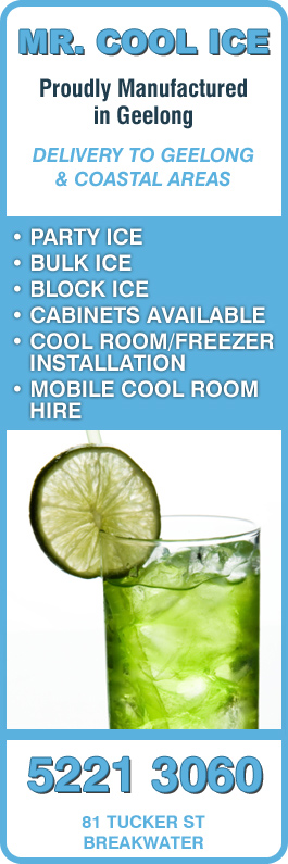 Mr Cool Ice