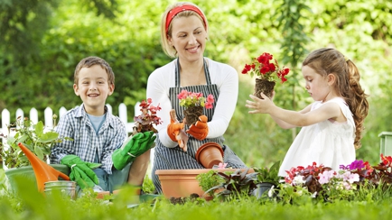 Robert's Home & Garden Maintenance Hero Image