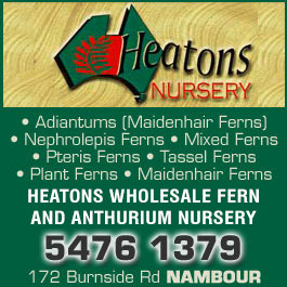 Heatons Wholesale Fern And Anthurium Nursery