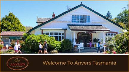 Anvers Tasmania Hero Image