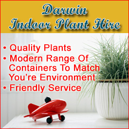 Darwin Indoor Plant Hire