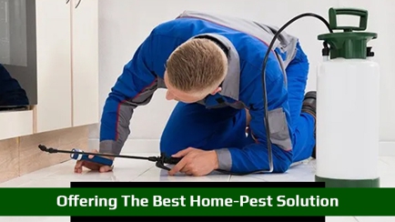 Hobart Pest Control Hero Image