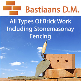 Bastiaans D.M.