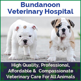 Bundanoon Veterinary Hospital