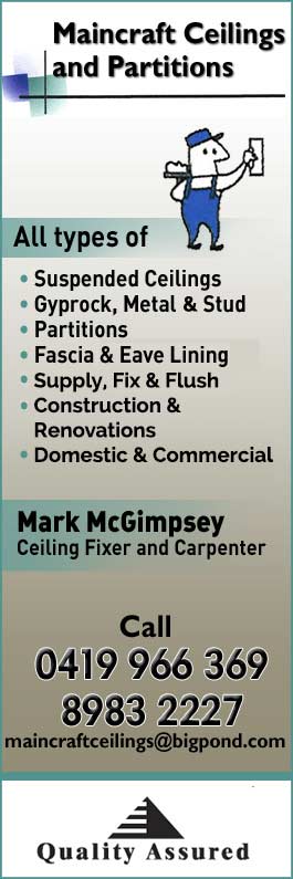 Maincraft Ceilings And Partitions