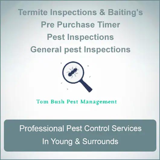 Tom Bush Pest Management