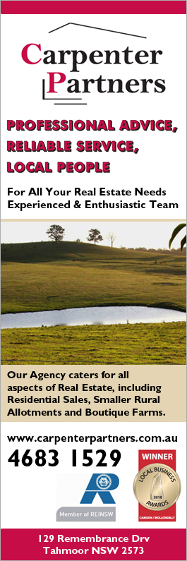 Carpenter Partners Real Estate