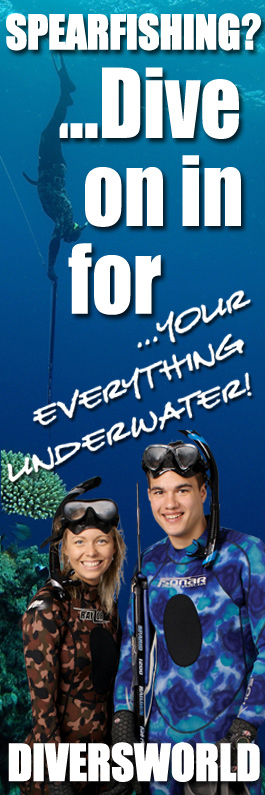 DIVERSWORLD