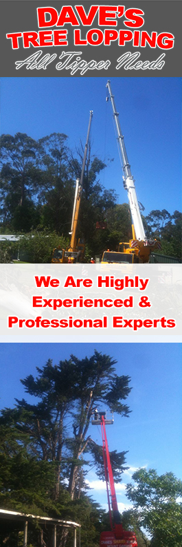 Dave's Tree Lopping & All Green Waste Removals