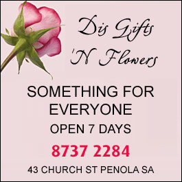 Di's Gifts 'N Flowers