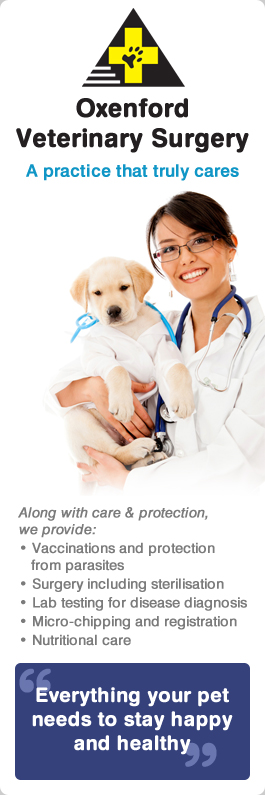 Oxenford Veterinary Surgery