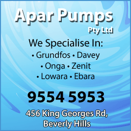 Apar Pumps