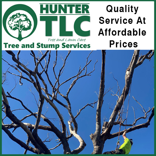 Hunter TLC Tree & Lawn Care