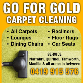 Go For Gold Carpet Cleaning