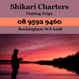Shikari Charters