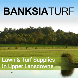 Banksia Turf