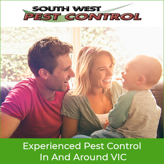 South West Pest Control