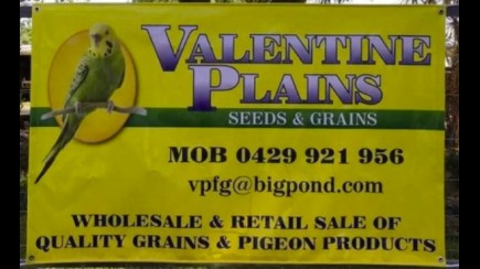 Valentine Plains Seeds And Grains Hero Image