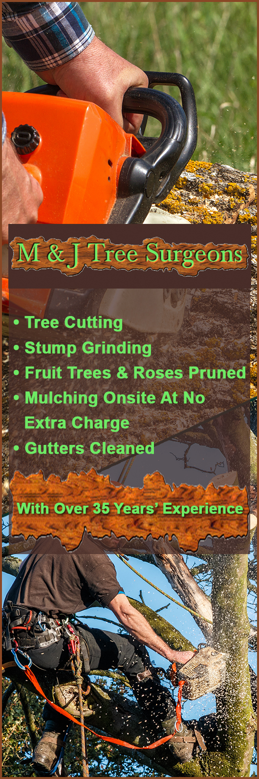 M & J Tree Surgeons