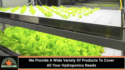 Great Southern Hydroponics Hero Image