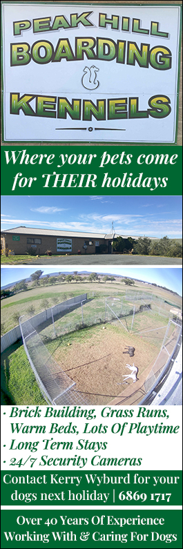 Peak Hill Boarding Kennels