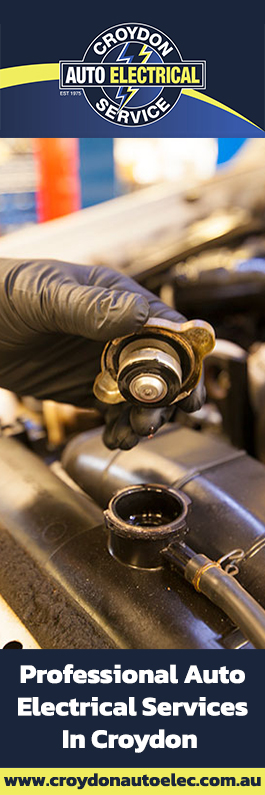 Croydon Auto Electrical Service
