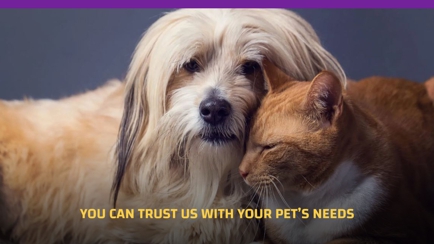 Orchard Hills Veterinary Hospital Hero Image