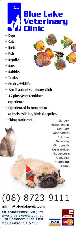 Blue Lake Veterinary Clinic