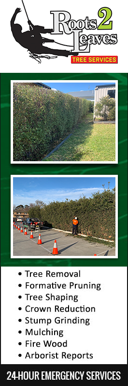 Roots 2 Leaves Tree Services Pty Ltd