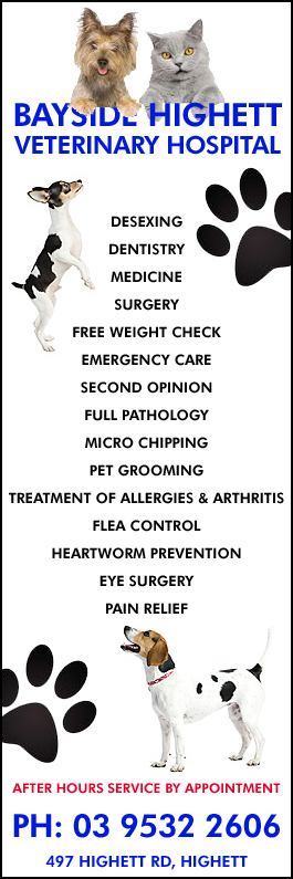 Bayside Highett Veterinary Hospital