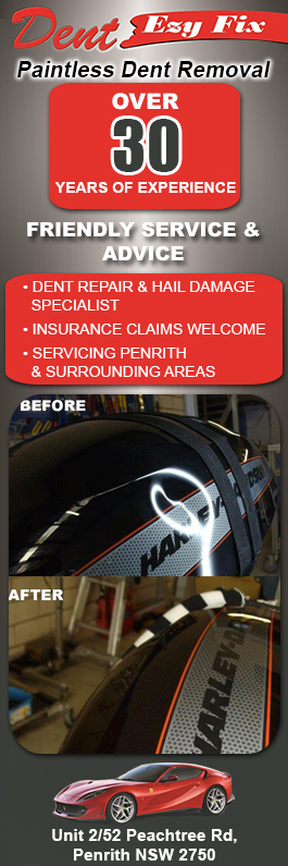 Dent Ezy Fix P/L