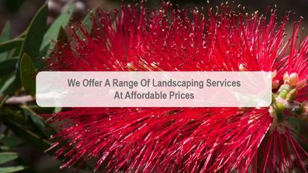 Tanga Landscaping Design & Construction Hero Image