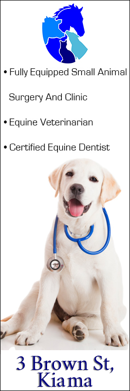 South Coast Veterinary Hospital