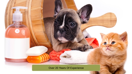 L.A. Clips Dog Grooming Salon Hero Image
