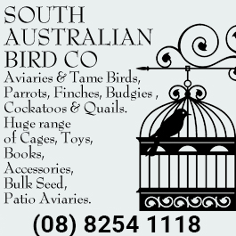 South Australian Bird Co