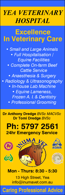 Yea Veterinary Hospital