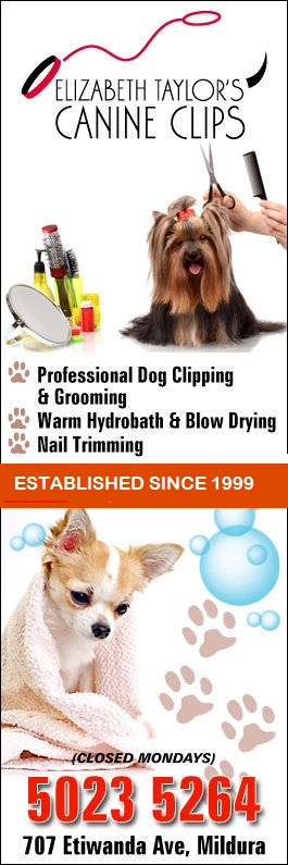 Elizabeth Taylor's Canine Clips