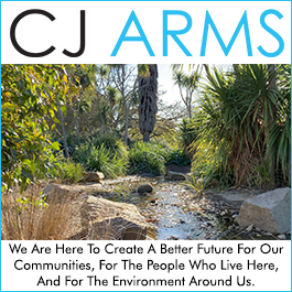 CJ Arms