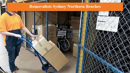 Giraffe Removals Hero Image