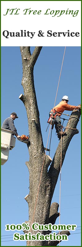 J T L TREE LOPPING PTY LTD
