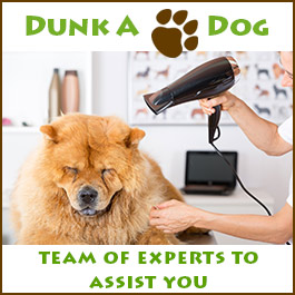 Dunk A Dog