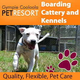 Gympie Cooloola Pet Resort
