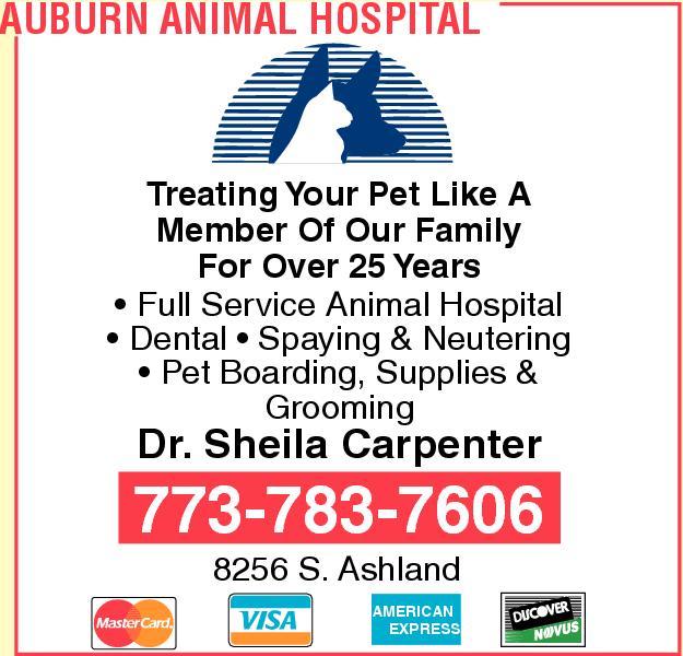 Auburn Animal Hospital
