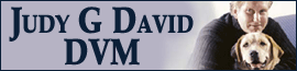 Judy G David DVM logo